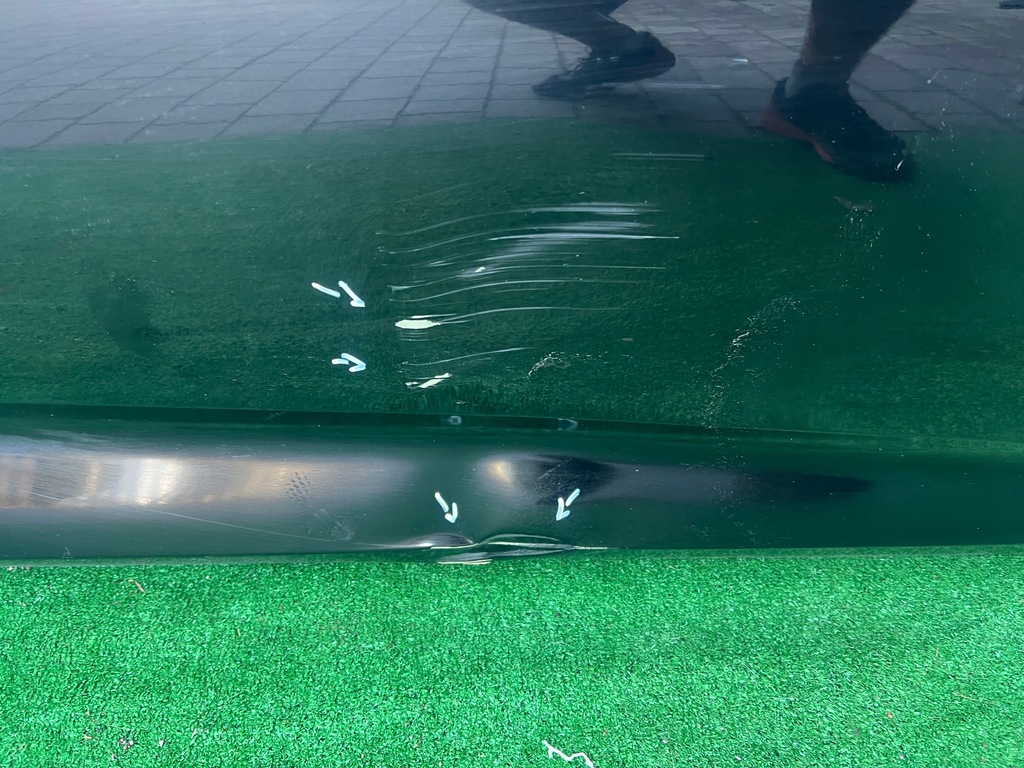 фото №12, Opel insignia b дверь правое передние правый перед