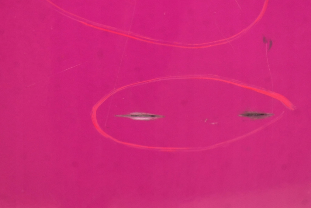 фото №7, Капот крышка двигателя różowa mini countryman r60 10-17