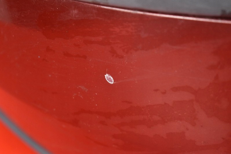 фото №11, Бампер перед передний 445-26 volvo v70 2 ii 00-05