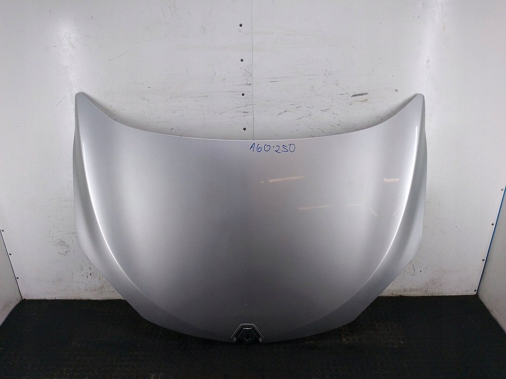 фото №1, Капот renault megane iii ted69