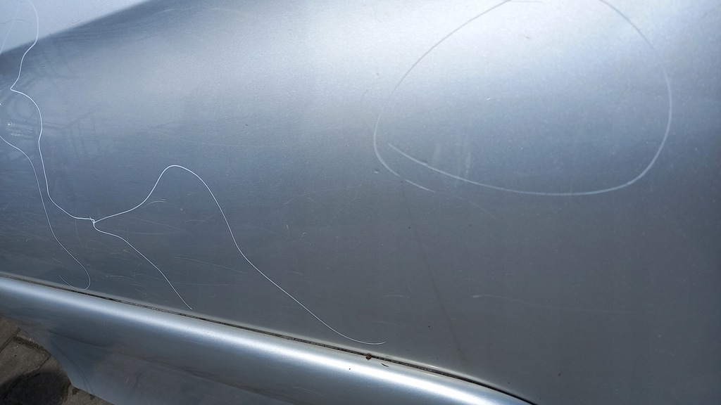 фото №4, Двері лівий задня citroen xsara 02r