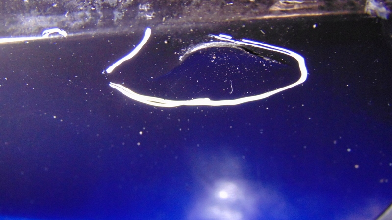 фото №11, Бампер перед передній exy citroen c4 picasso i 07+