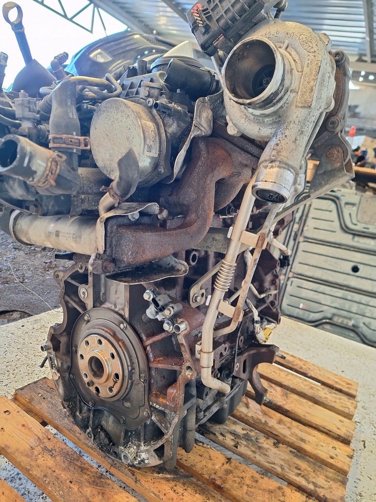 фото №11, Ford transit custom 12-17 двигатель 2.2 tdci 125km fwd eur 5 cyff