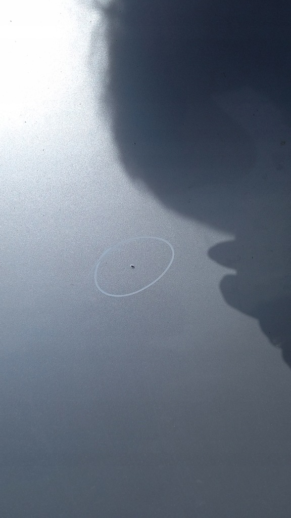 фото №7, Капот передня citroen xsara 02r