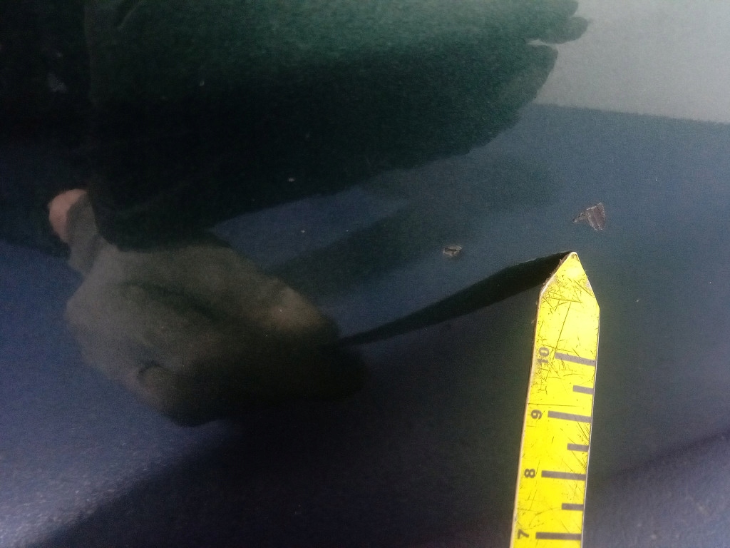 фото №10, Nissan primera p12 бампер перед передний 62022-au340 dv9