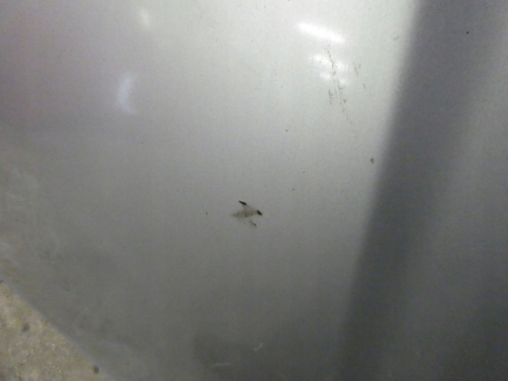 Капот vw polo 3 6n2 рестайлинг Доставка