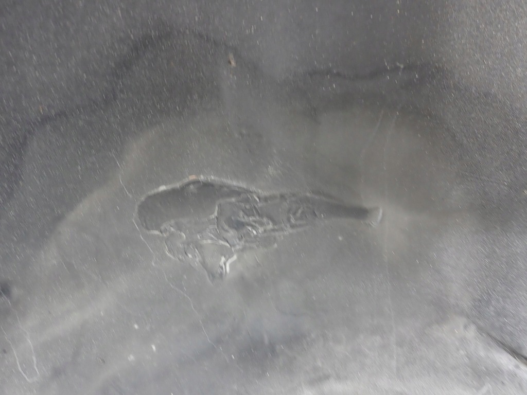 фото №14, Hyundai elantra 00-03 бампер задня задній