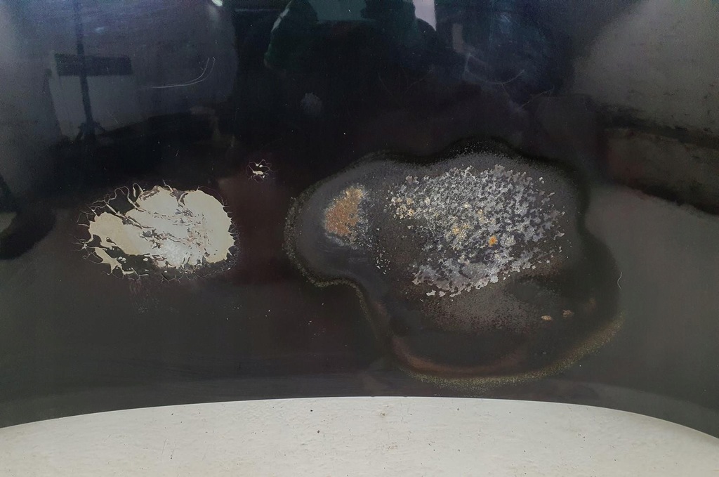 фото №4, Капот b20 nissan micra k13