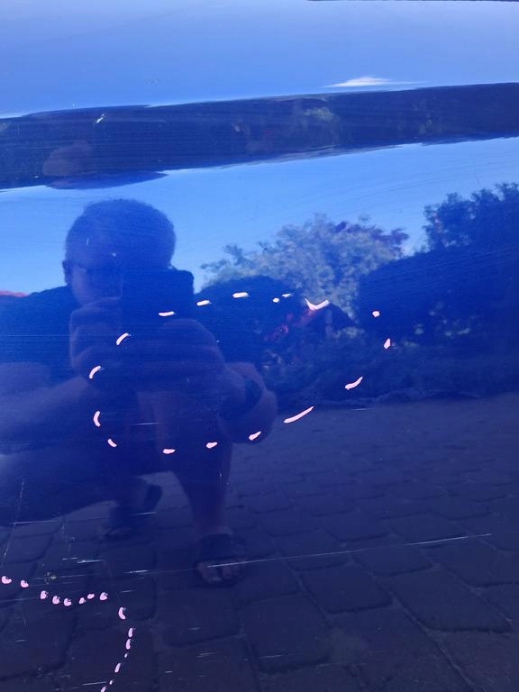 фото №6, Дверь задние левая ford fiesta mk7 5 дверь 08-17