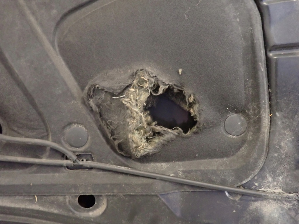 фото №13, Chevrolet aveo хетчбек t250 07- капот кришка двигуна gar