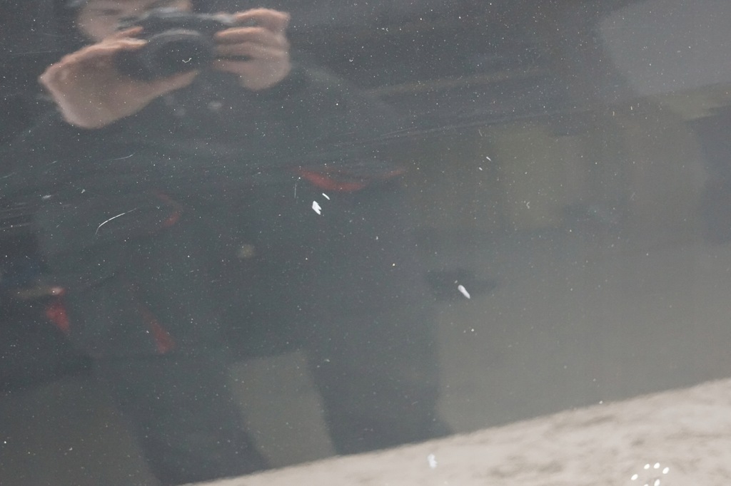 фото №13, Двері лівий задня hyundai ix35