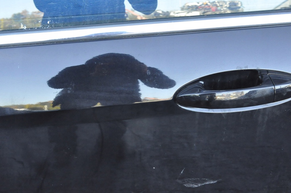 фото №8, Ford b-max двері лівий перед ліва передні