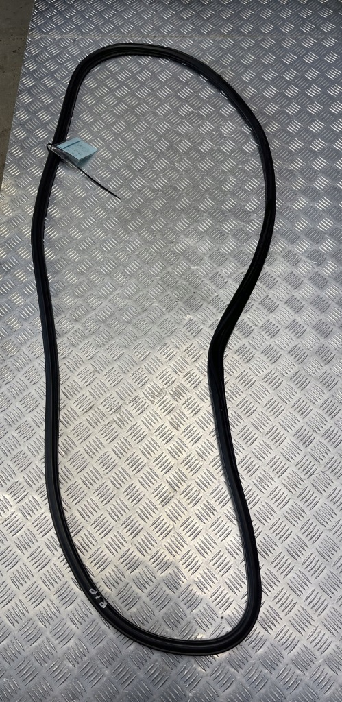 Купити Bmw x3 f25 прокладка двері правий перед 7205697