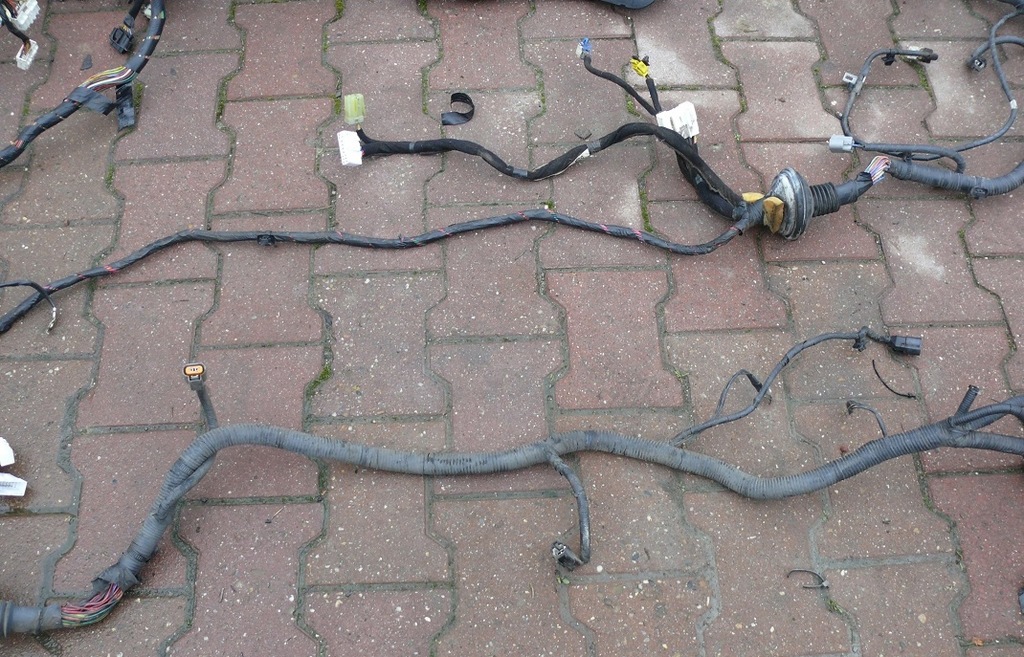 фото №10, Электропроводка двигателя коробки передач kia sportage ii 2 2.0 crdi d4ea 113km 04-