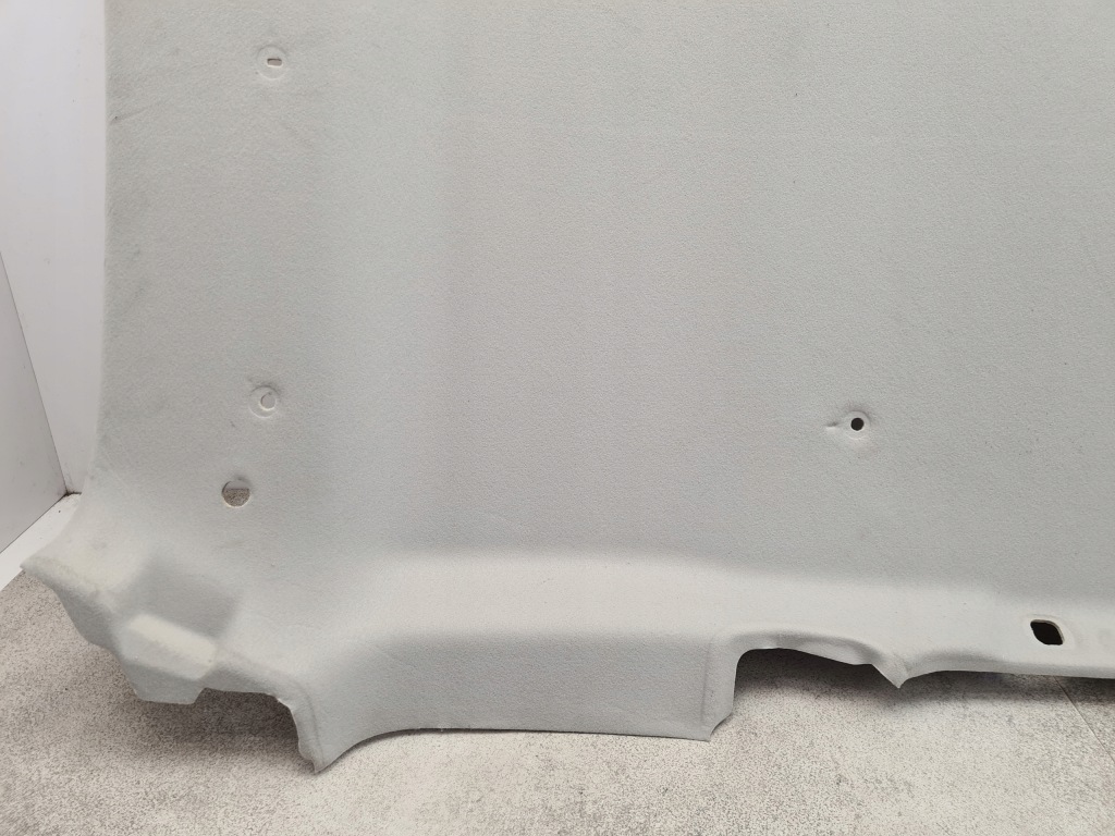 Купити Dacia duster 1 стеля 739106895r