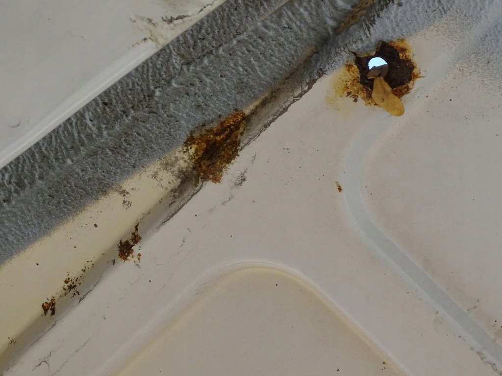 фото №7, Iveco eurocargo iii 06-15 обшивка праве поріг bok