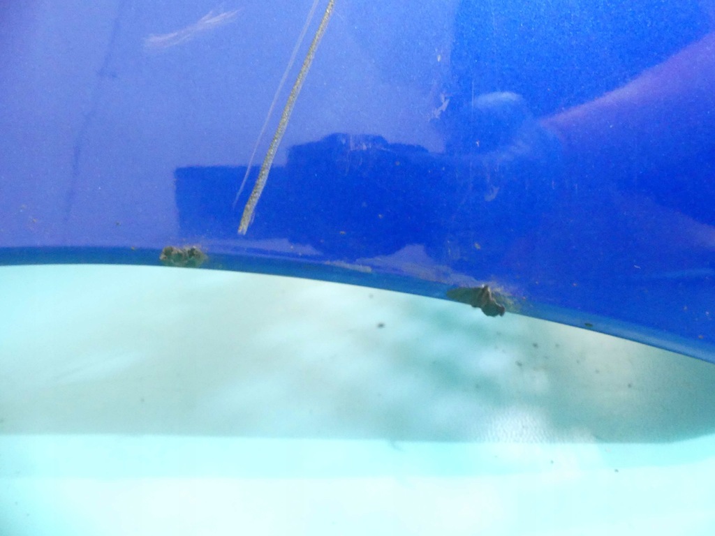 фото №12, Бампер перед mazda premacy 24a 01-05 протитуманні фари