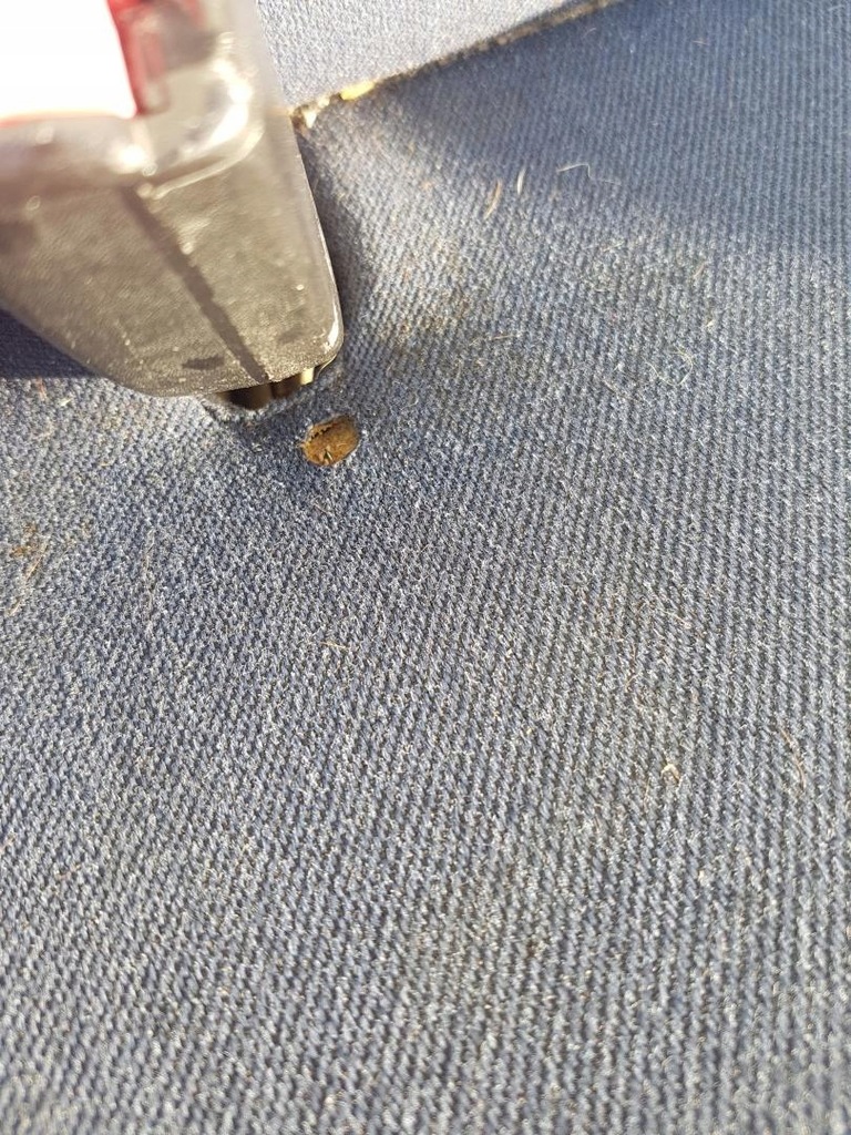 фото №5, Лавка сиденье anglik renault trafic ii