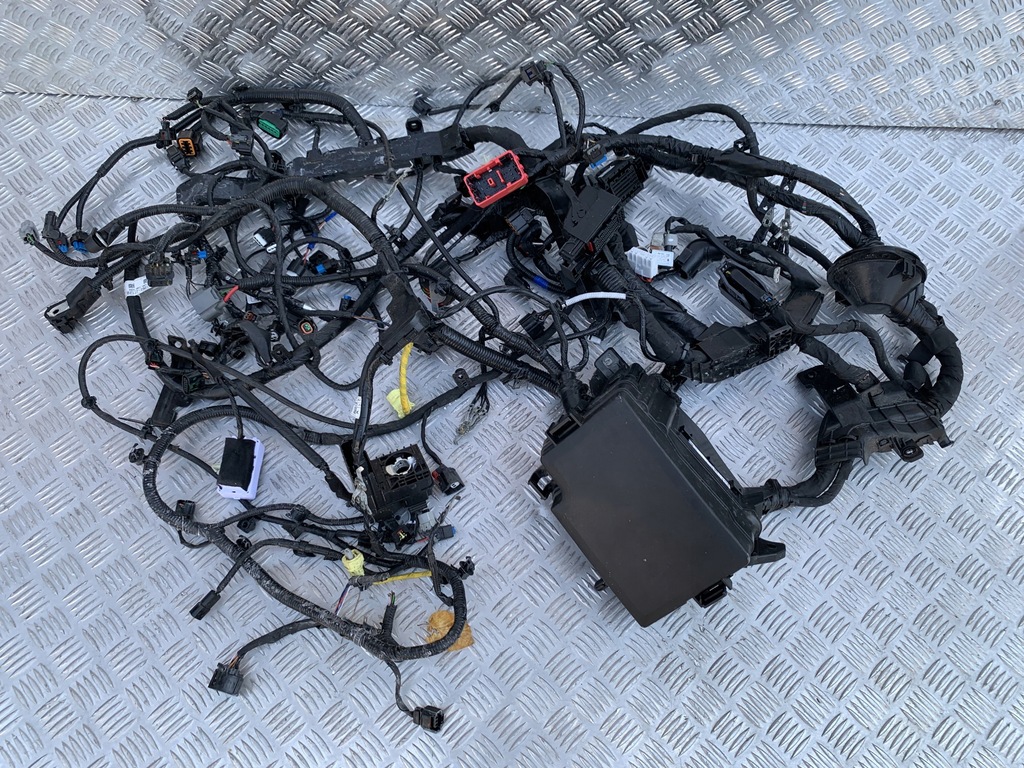 фото №1, Жгут левый лонжерон ceed iii kombi lift 21-