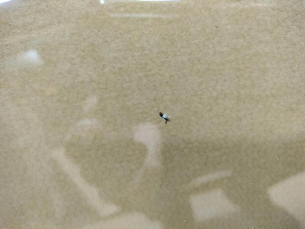 фото №5, Скло лобове перед підігрів renault austral 2023 rok