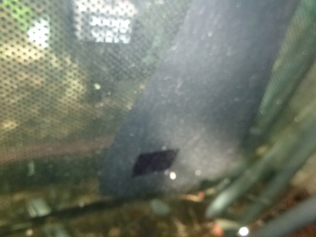 фото №5, Стекло передняя перед лобовое dodge durango 2011