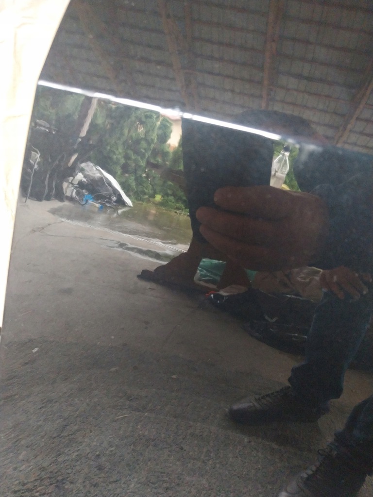 фото №8, Kia sportage v gt-line дверь передние левая