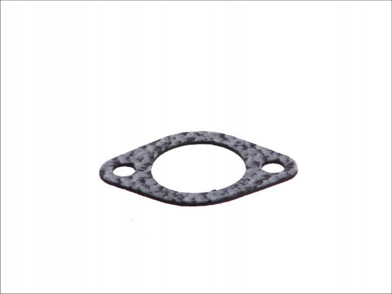 фото №1, Прокладка насоса wody iveco daily