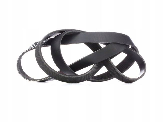 фото №10, Ridex 305p0344 ремень клиновой многоручьевой do nissan pathfinder iii r51