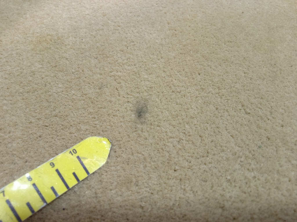 фото №10, Audi a8 d3 обшивка килимок підлога бежева задня