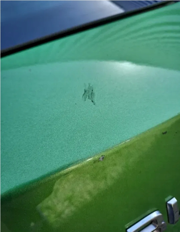 фото №7, Кришка багажника спойлер skoda fabia iii hb monte carlo lf6z