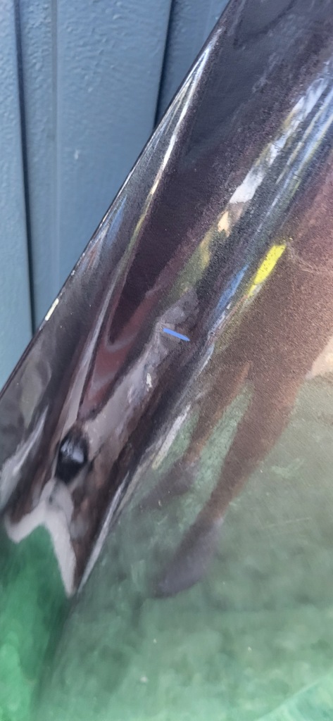 фото №4, Капот крышка двигателя peugeot 508 i 1 10-14