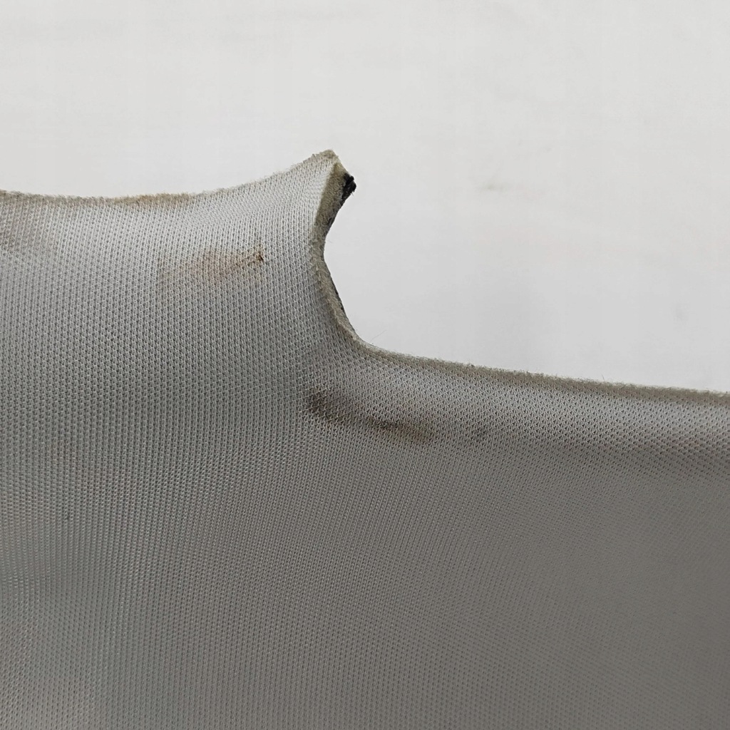 фото №6, Ford mustang mach-e 2022 потолок