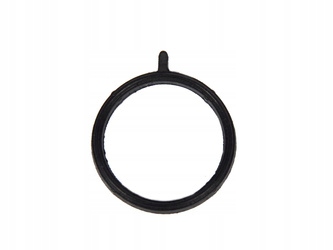 фото №1, Прокладка корпус термостата 1.6 sigma gtdi