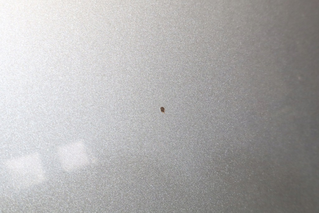 фото №6, Капот toyota avensis iii t27 1g6