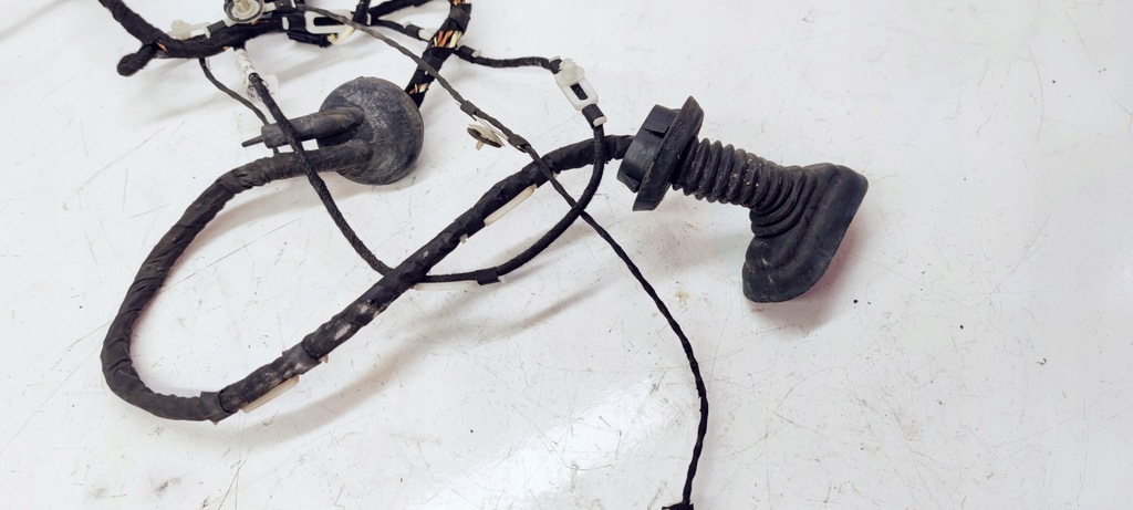 фото №5, Джгут двері лівий перед audi a6 c6 4f1971029ad