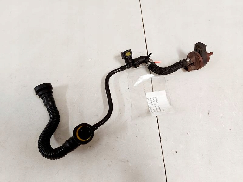 фото №1, Citroen c2 1.1 клапан тиску пального шланги ruri дроти 2580008b