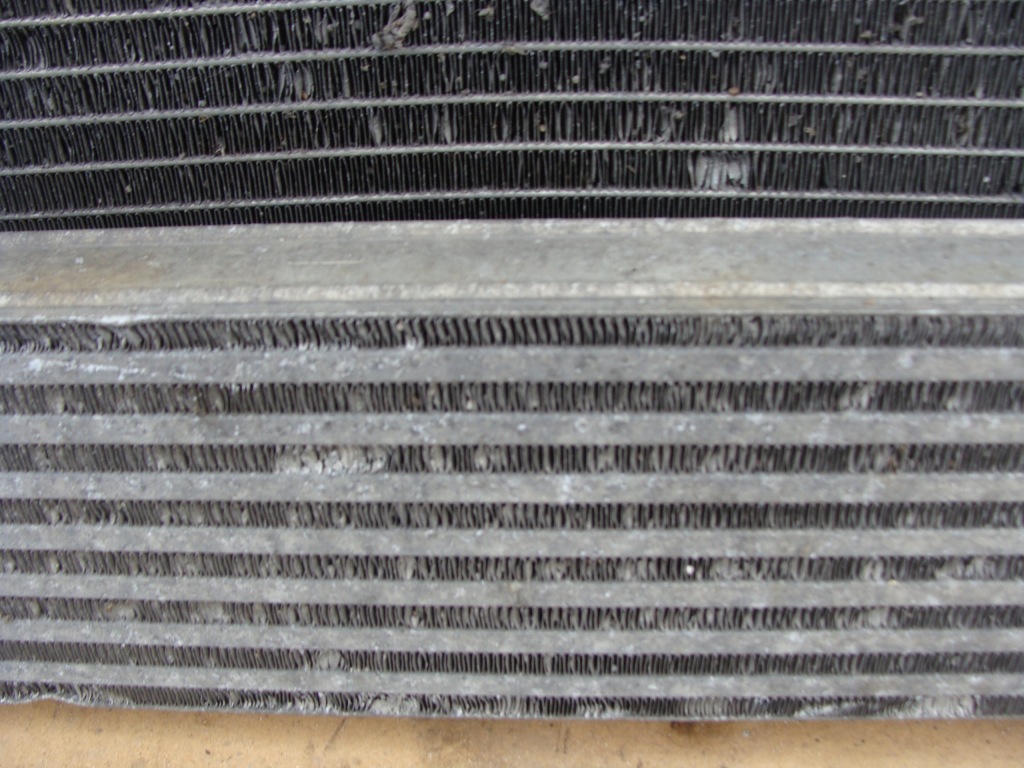 Ремень передний вентилятор радиатор воды кондиционера dacia logan 1 fl 1.5 dci Оригинал