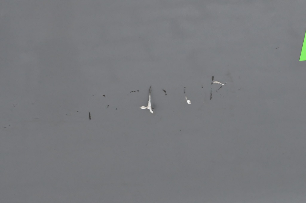 фото №12, Peugeot expert iii двері лівий перед ліва передні