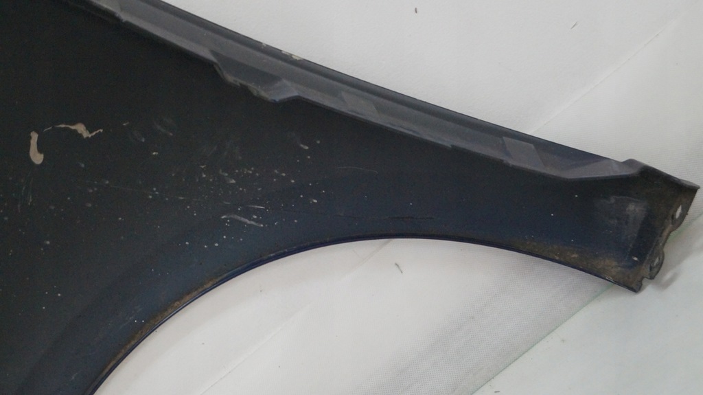 фото №12, Крила передній правий renault scenic iii dv460 2010