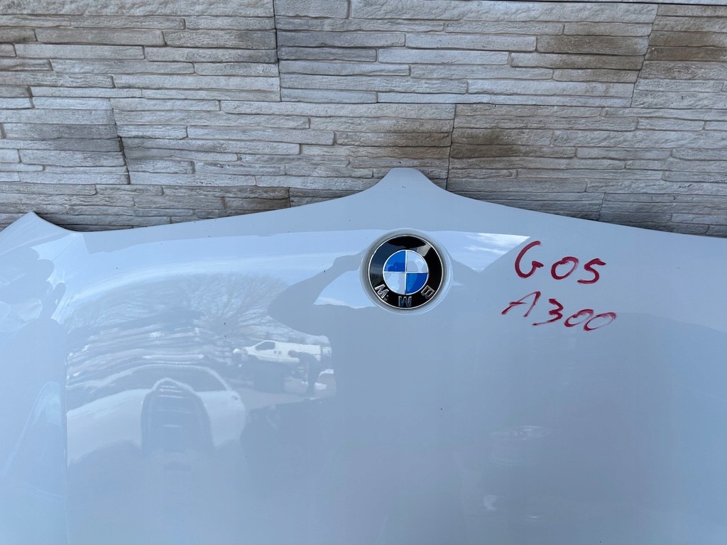 фото №16, Капот крылья бампер лампа pas радиатор радар bmw x6 g06 lci lift a300