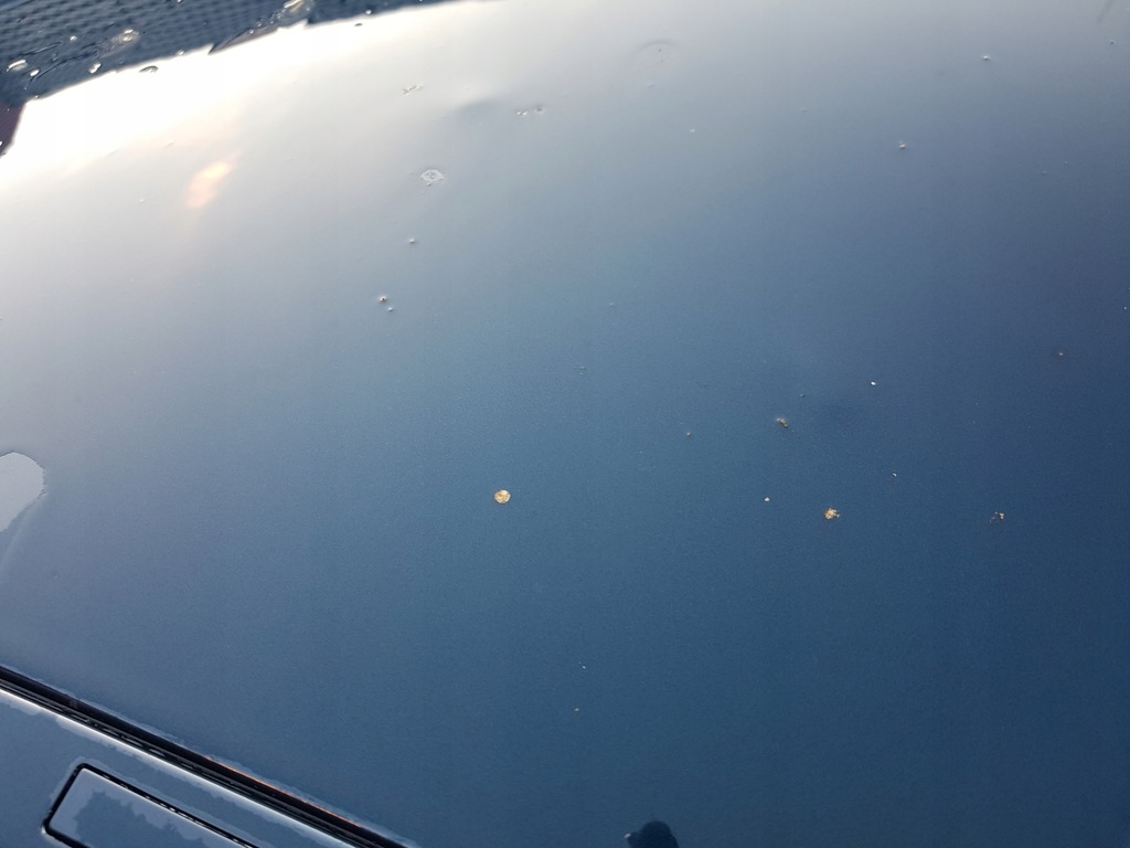 фото №5, Bmw 4 f32 крыша 15r.