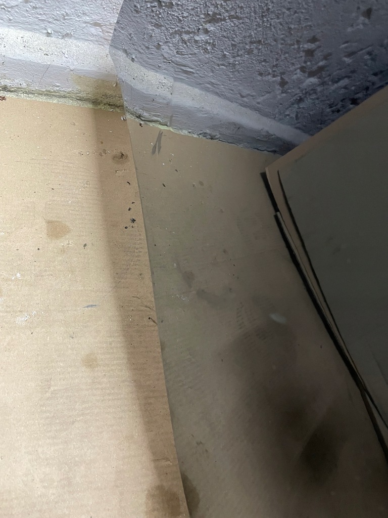 фото №8, Бампер задняя bez pdc электропроводка m-pakiet kompletny bmw z4 g29 475