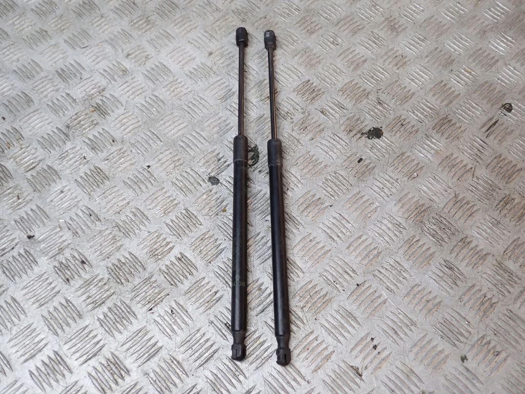 фото №1, Амортизаторы амортизаторы капот пара dodge ram 2019-