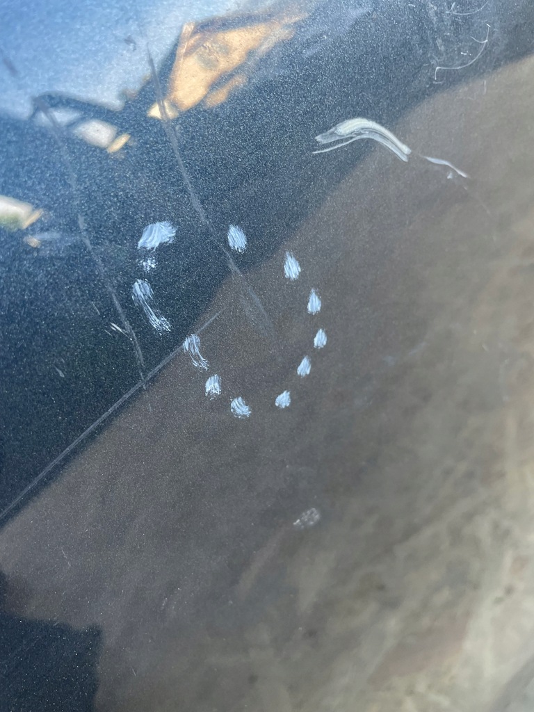 фото №6, Двері праве передні seat ibiza 6f v 5 правий перед