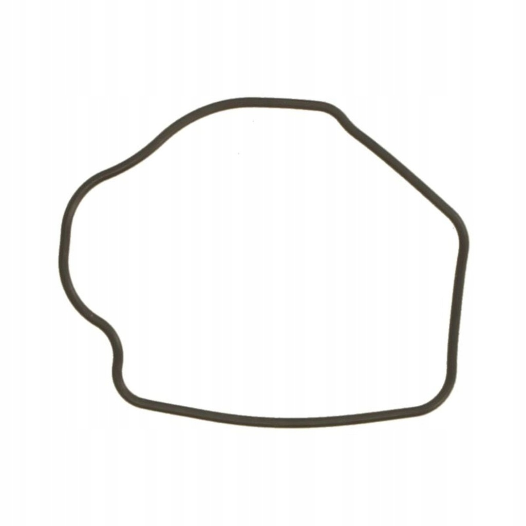 фото №1, Прокладка термостата nubira rodeo frontera sintra