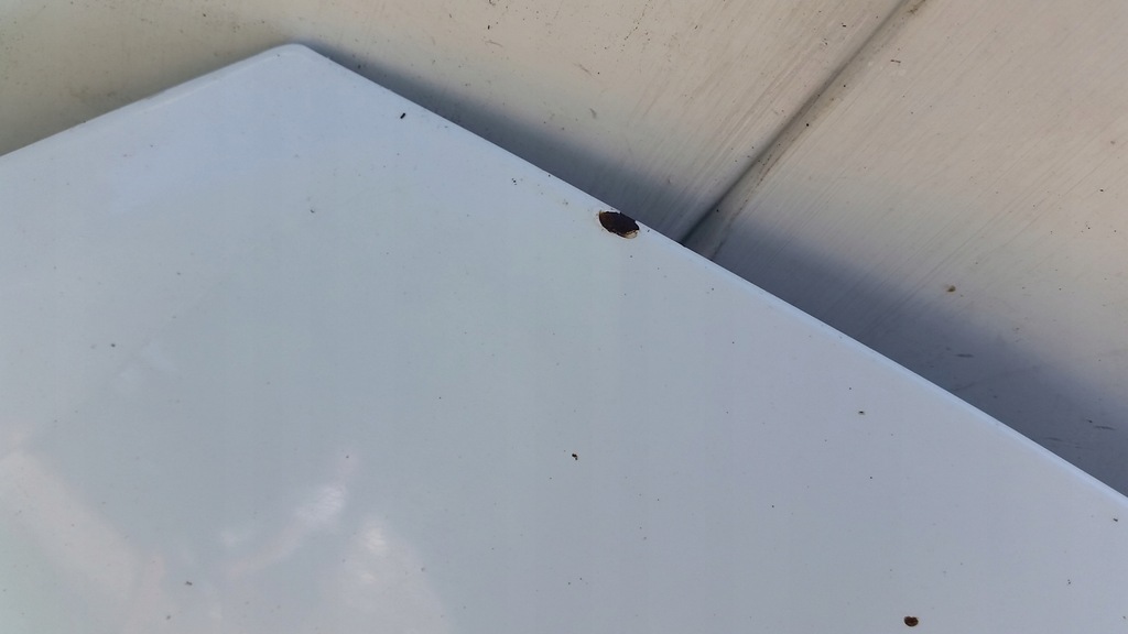 фото №7, Капот перед ford s-max 06-09r b6