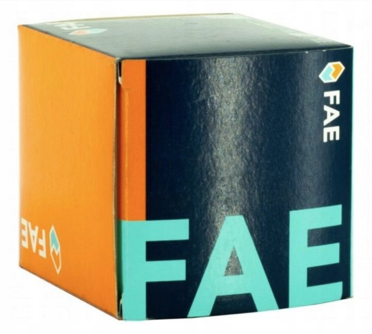 Купить Термостат fae 5202482