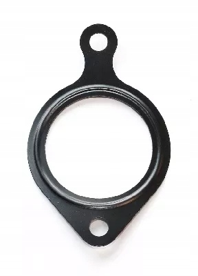 фото №1, Elring 422.920 прокладка, корпус колектор впускний