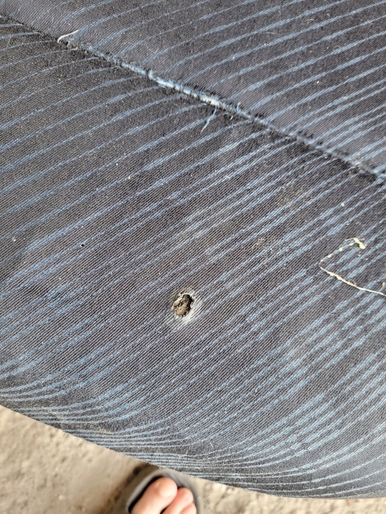 фото №4, Сидіння сидіння спинка сидіння citroen berlingo iiii пластина