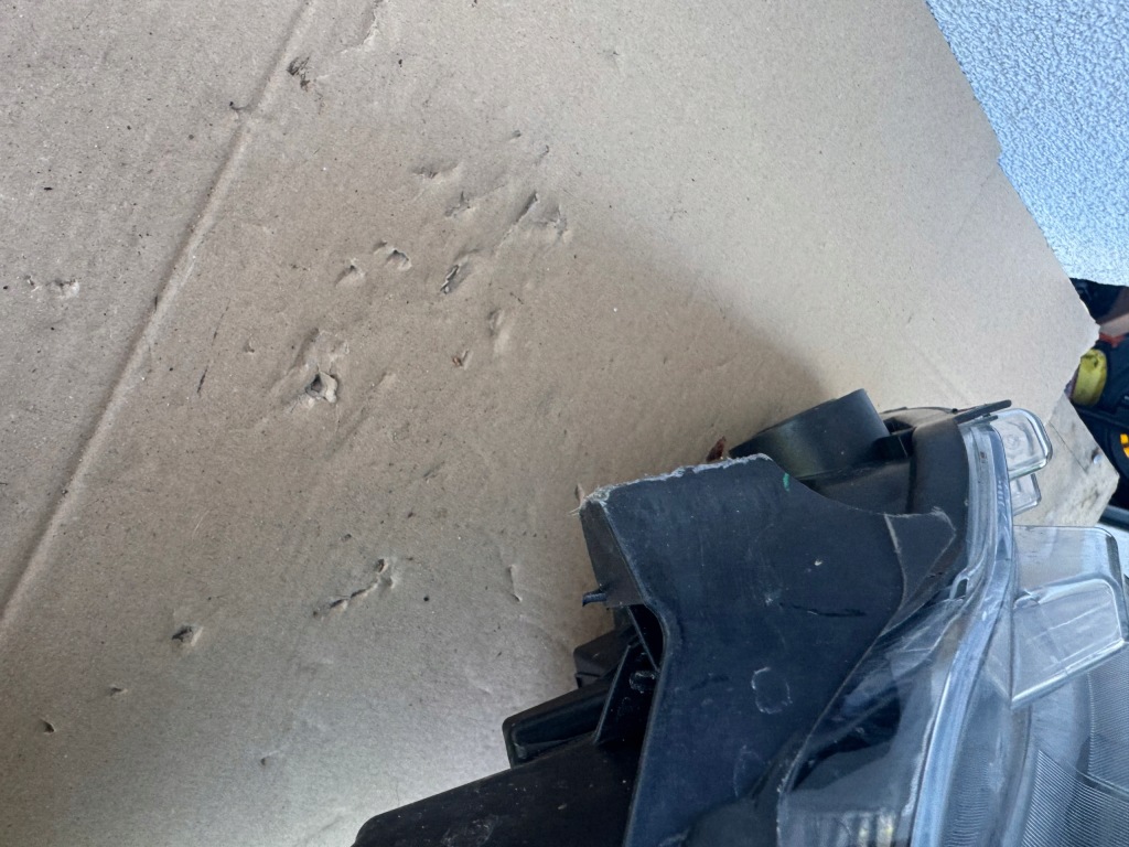 Купить Citroen berlingo iv 4 18- - лампа левый левая перед передняя 9816824880